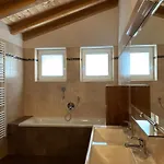 Ferienwohnung Apartment Fuegenberg