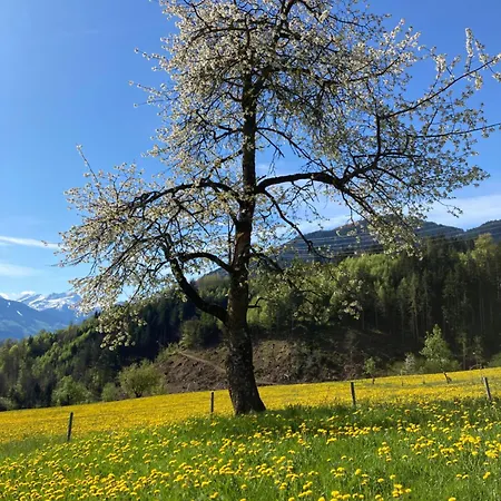 Ferienwohnung Lägenhet Fuegenberg